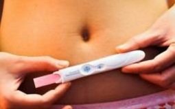 Фото: Базальная температура после переноса эмбрионов